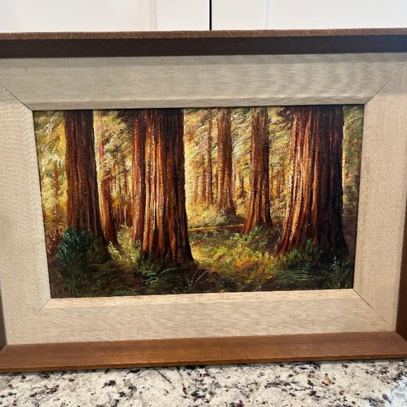 Sunlit Redwoods by E. H. La Velle - Picture 1 of 4